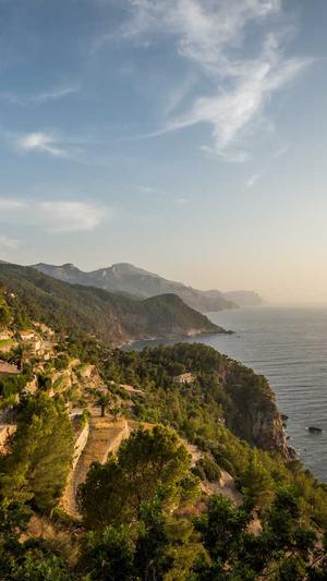 seo 排名工具截图4