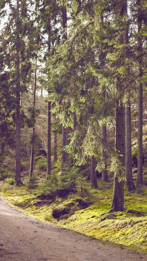 搜索网站seo优化截图1