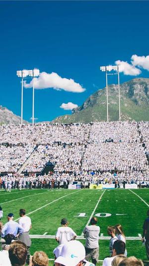 上海网站建设截图4