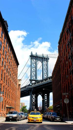 蜘蛛池搭建代码截图5