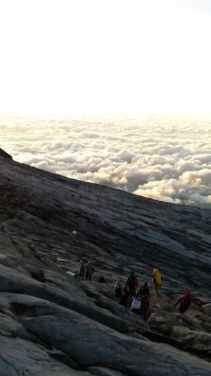 搜狗蜘蛛池租用哪家强截图5