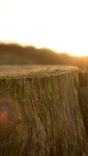 免费蜘蛛池网页版登录截图1