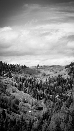 小旋风泛目录能干啥截图3