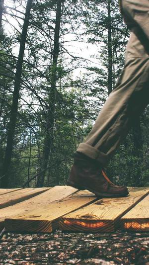 英文seo站长工具截图1