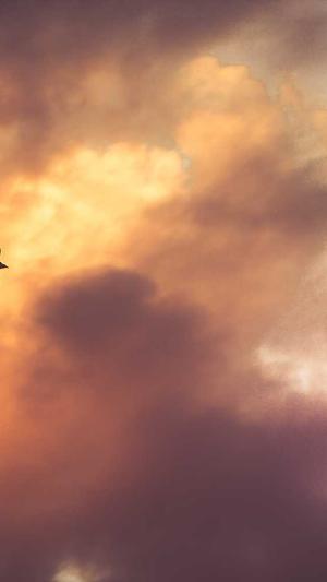 长沙的网站建设截图2