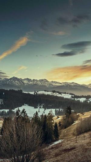 seo排名优化课程截图3