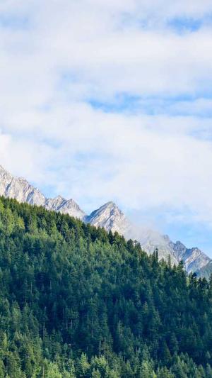 seo常用工具网站截图5