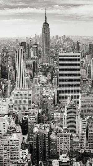 湖南seo优化工具截图2