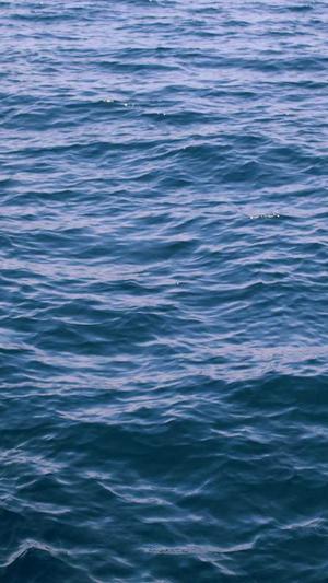 从事网站建设截图5