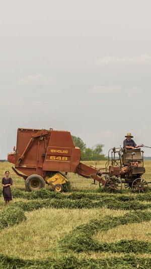 企业seo优化方案截图4