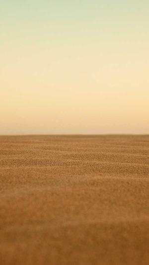 企业seo优化方案截图1