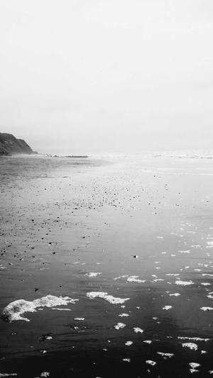 seo蜘蛛池关键词劫持截图4