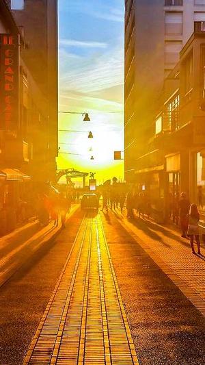 长春seo排名工具截图4