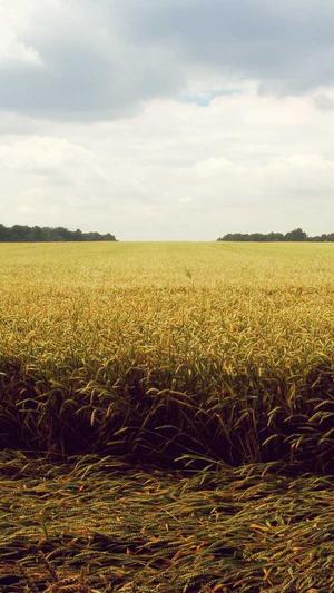 新乡网站建设截图1