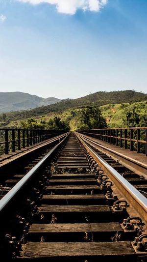 广东蜘蛛池出租服务截图4