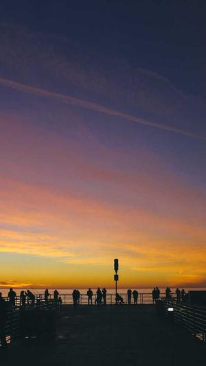 蜘蛛池如何自己搭建的截图1