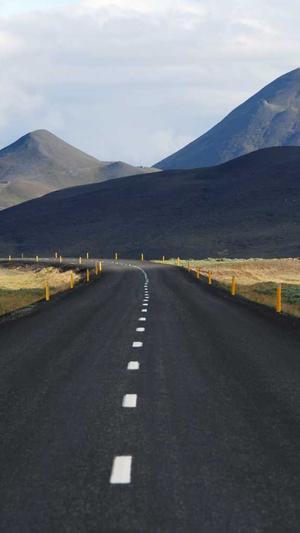 泛目录站群效果怎么样截图2