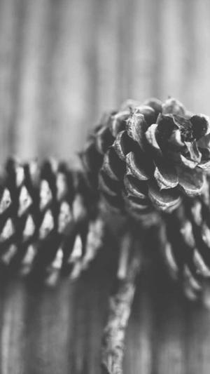 建设网站怎么收费截图3