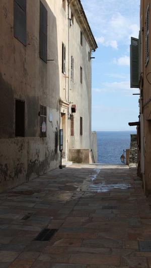 seo 排名工具截图5