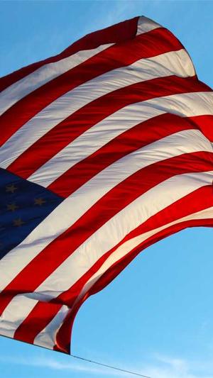 广东蜘蛛池出租包月截图4