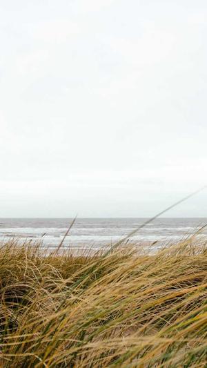 泛目录推广截图2