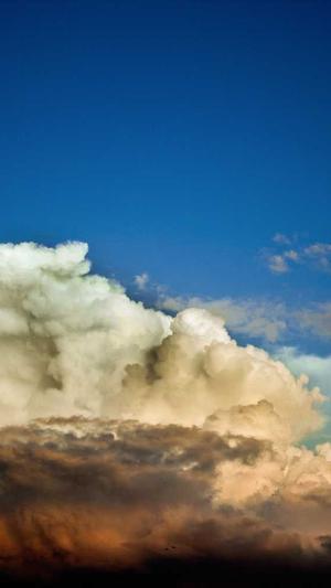 黑侠蜘蛛池教程截图2