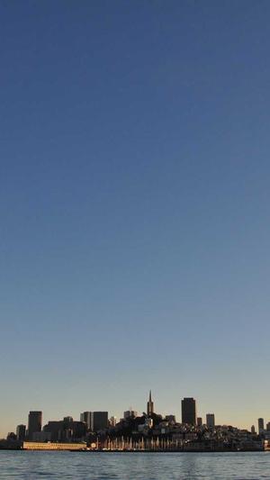 文章seo工具截图1