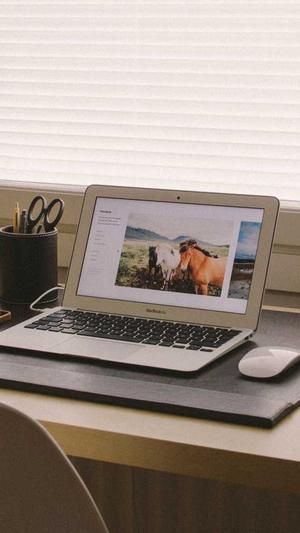 seo短视频网页入口网站推广截图2