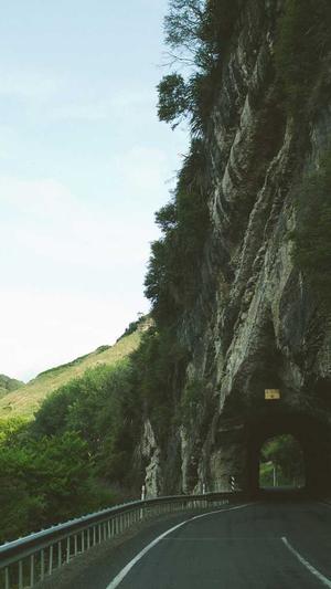 站长工具SEO查询截图2