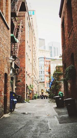 天道蜘蛛池搭建视频截图3