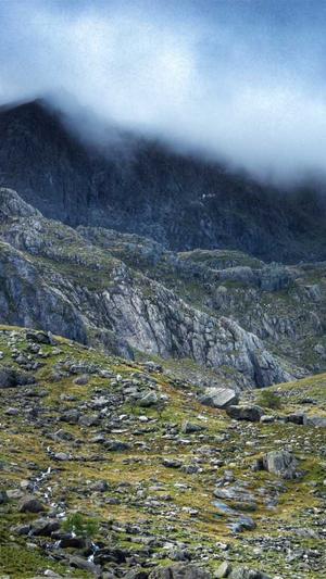 免费体验蜘蛛池的网站截图3