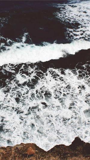 定制建站网站建设截图2