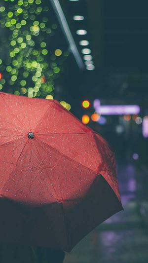 小旋风蜘蛛池模板图片截图3