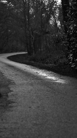 泛目录反向代理截图2