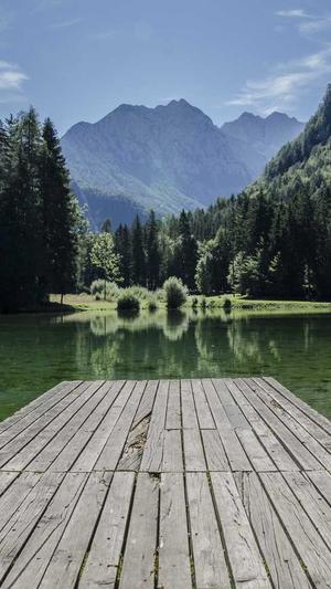 极品seo工具截图2