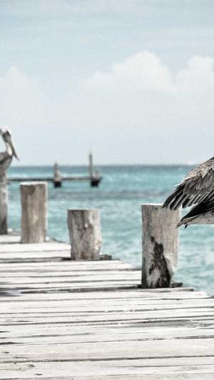 泛目录链接截图3