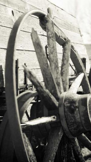 seo排名推广工具发帖截图3