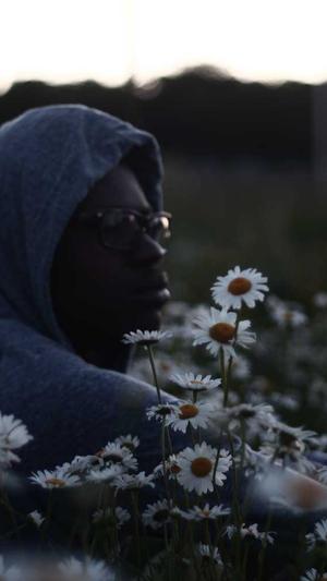 陕西蜘蛛池出租截图3