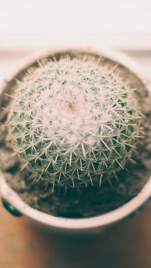 中山网站建设截图5