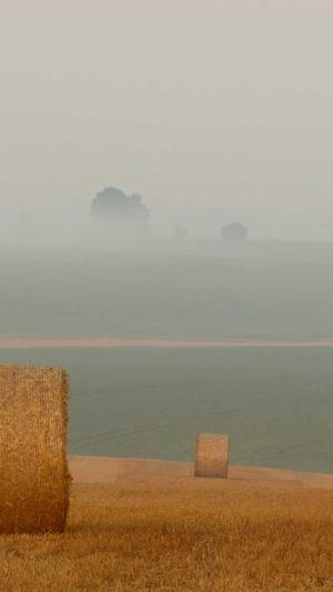 万州网站建设截图3