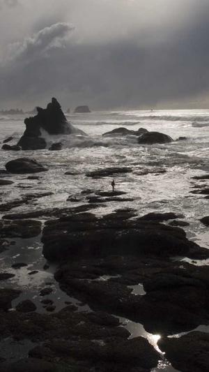 潍坊 网站建设截图5