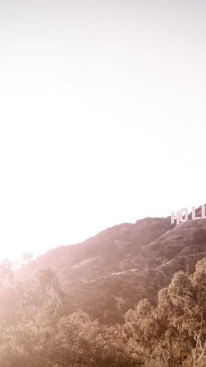 寄生虫泛目录这些网站截图2