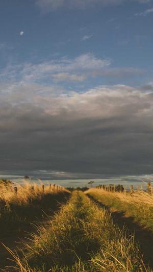 提升seo工具截图1