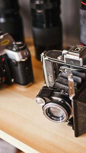 自己建蜘蛛池要多少钱截图1