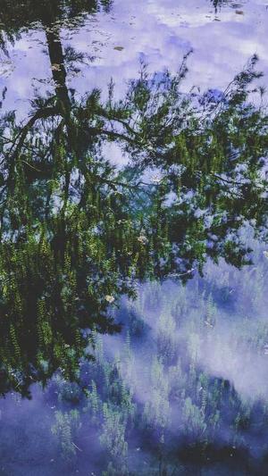 主播炸蜘蛛池截图4