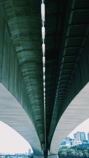 seo如何推广官网蜘蛛池截图1