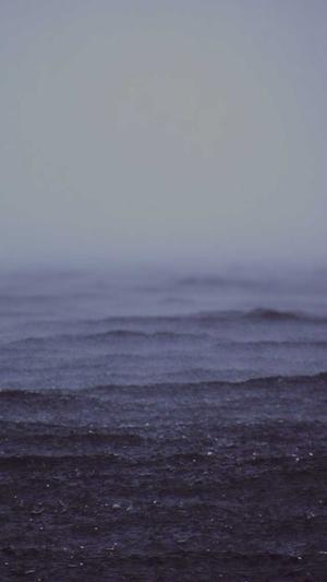 蜘蛛池租用优化截图3