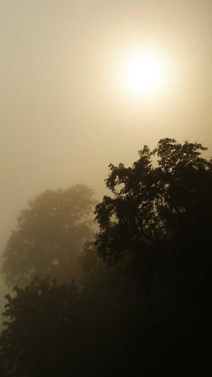 seo常用工具优化截图1