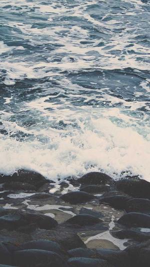 蜘蛛池优化seo博客截图1