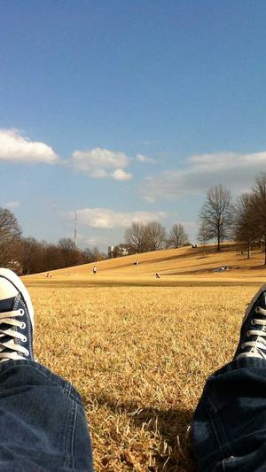 住房和城乡建设部网站截图3